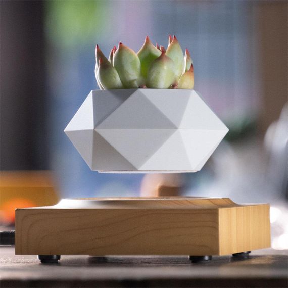 Магнітний левітаційний горщик для рослин HCNT Magnetic Levitating Pot M10-FP  Wood Grain | Зображення 1