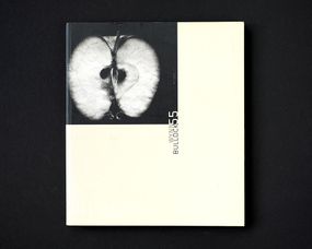 Книга Wynn Bullock (Phaidon 55's). Б/У