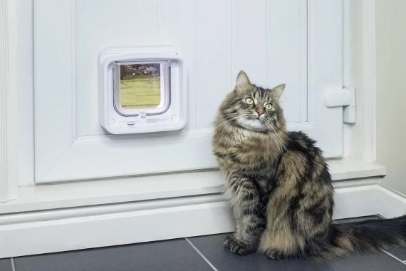 SureFlap розумні дверцята для котів із підтримкою мобільного застосунка Sure Petcare | Зображення 2