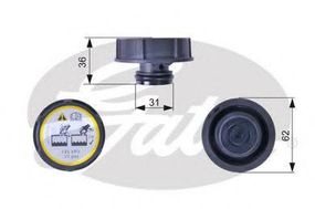 Кришка радіатора GATES RC240 на FORD C-MAX II (DXA/CB7, DXA/CEU)