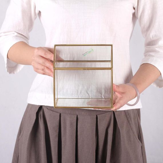 Скляний флораріум NCYP у формі будиночка з кришкою, золота рамка, 15.5×11×16 см, для сукулентів, мосаріум | Зображення 4