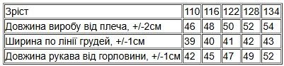 Худі для хлопчика (з капюшоном) Носи своє 128 Блакитний (p-12415-182988) | Зображення 5