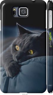 Чохол на Samsung Galaxy Alpha G850F Димчастий кіт "825c-65-2448"