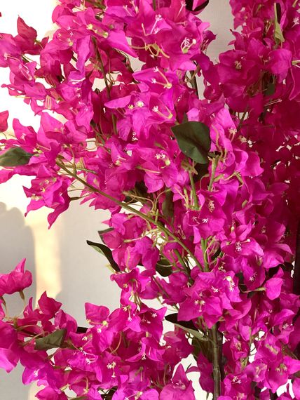 Искусственная розовая бугенвиллия 210 см в горшке — цветущее декоративное дерево для интерьера | Зображення 2