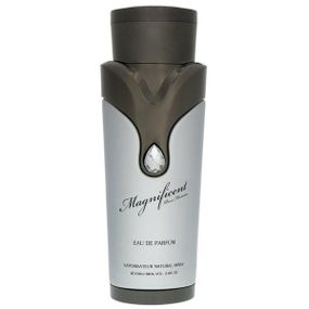 Парфумована вода Armaf Magnificent Pour Homme 100 мл