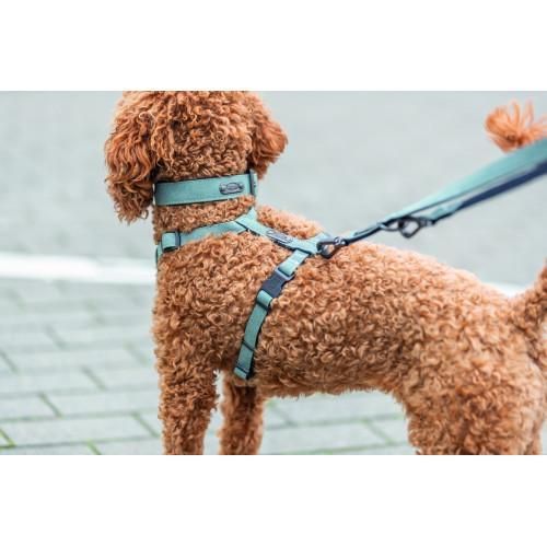 Повідець Trixie CityStyle V-Lead для собак хлопок M–L 2 м 20 мм світло-сірий | Зображення 1