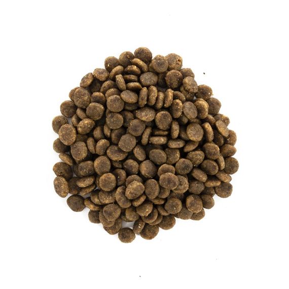 Корм сухий Brit Care Cat Grain Free Sensitive HDigestion Delicate Taste для котів з чутливим травленням індичка та лосось 2 | Зображення 1