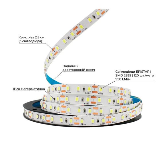 Світлодіодна LED стрічка PROLUM™ 12V; 2835\120; IP20; Series "S", Холодний-білий (9000-10000К) | Зображення 2