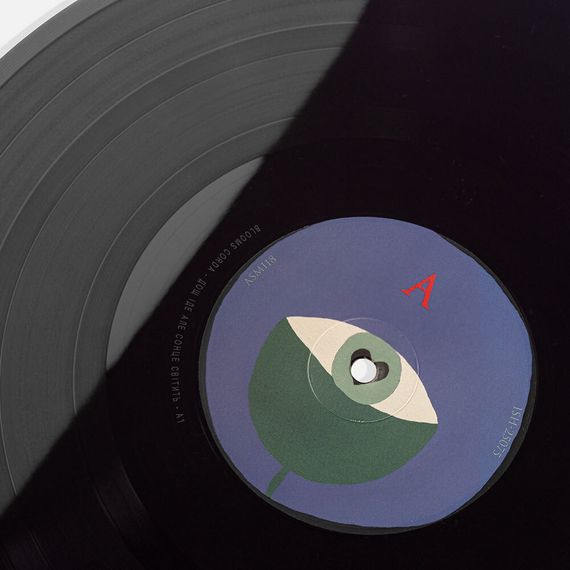 Вінілова платівка Blooms Corda - дощ іде, але сонце світить [LP] | Зображення 7