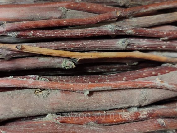 Лакомство для грызунов EcoFood набор веток 100 г 4229 | Зображення 1