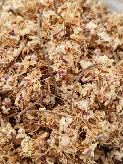 Каштан цвет, 25 г