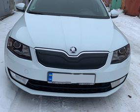Зимняя накладка на решетку (2013-2017) Матовая для Skoda Octavia III A7