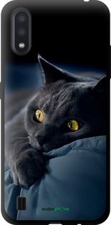 Чохол на Samsung Galaxy A01 A015F Димчастий кіт "825b-1842-2448"