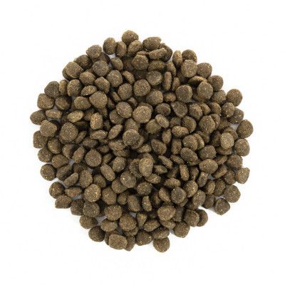 Сухой корм для собак Brit Care GF Mini Adult Lamb 2 кг (8595602520107) | Зображення 3