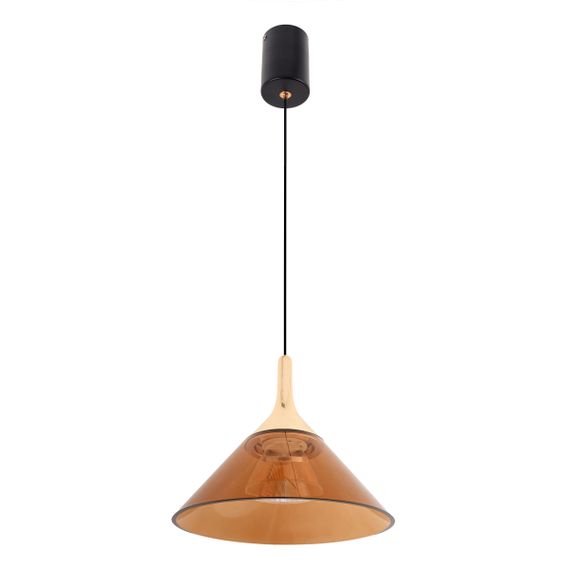 Потолочный светильник светодиодный BR-01 483S/1 LED 10W G/BK