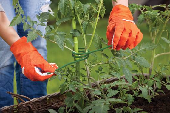 Дріт садовий Bradas SOFT 5 мм х 4 м з м'якого ПВХ TYDS5X4 | Зображення 1