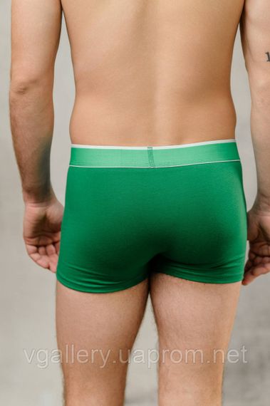 Чоловічі труси Lacoste, труси Лакоста, боксери Лакоста, чоловіча нижня білизна Lacoste | Зображення 2