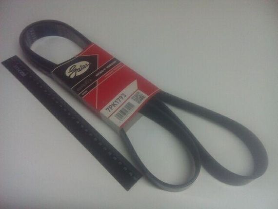 Ремінь генератора струмковий RENAULT, Gates (7PK1793) з конд. (8200200665)