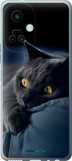 Чохол на Tecno Camon 19 Pro (CI8n) Димчастий кіт "825u-2766-2448"