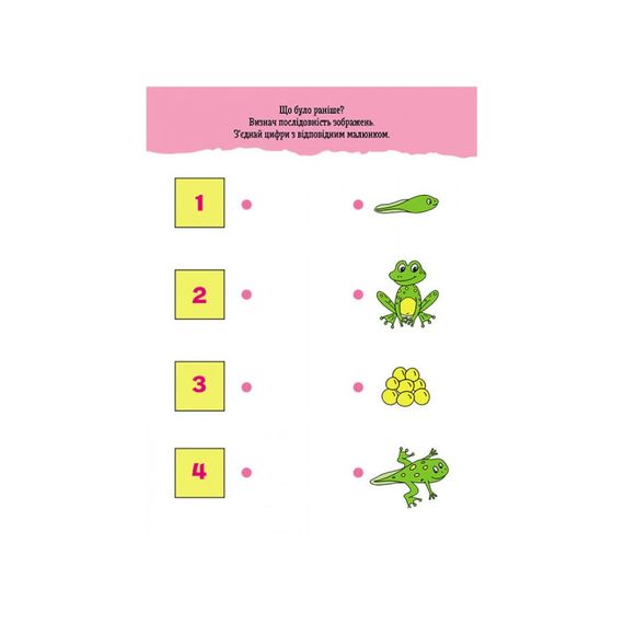 Розвиваючий зошит ДжоIQ "Веселі доріжки" 939023 візьми з собою в дорогу | Зображення 2