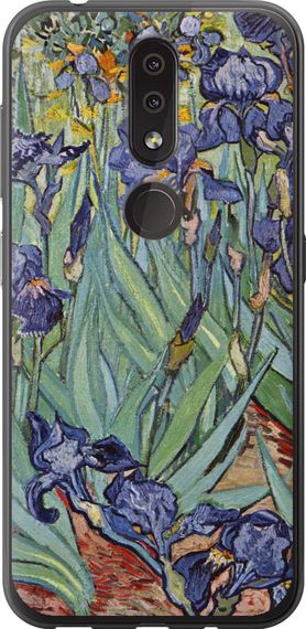 Чехол на Nokia 4.2 Винсент Ван Гог. Ирисы "161u-1680-17620"