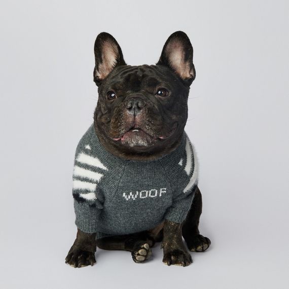 Брендовый свитер для собак OFF WHITE  с косточками в виде креста на спинке, серый | Зображення 3