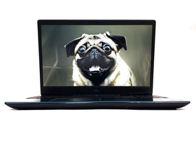 Ноутбук Dell G3 3590 15,6" FHD IPS i5 9300H 16Gb SSD 480Gb GTX 1660Ti MaxQ  Б/В