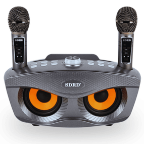 Портативна Караоке Система Для Дому з Двома Мікрофонами та Професійним Звукознімачом SDRD SD306 Plus