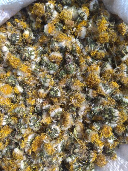 Кульбаба  (цвіт), 1кг