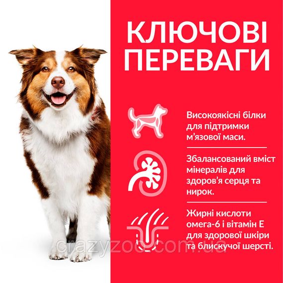 Сухой корм для пожилых собак средних пород Hill's Mature Medium Adult Chicken с курицей 14 кг 604378 | Зображення 1