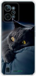 Чохол на Realme C31 Димчастий кіт "825sp-2593-2448"