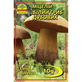 Білий гриб Дубовик 10 г