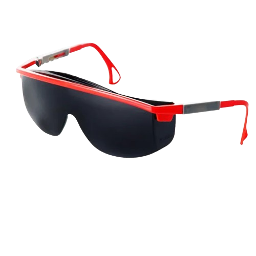 Окуляри захисні Profi INEGVA