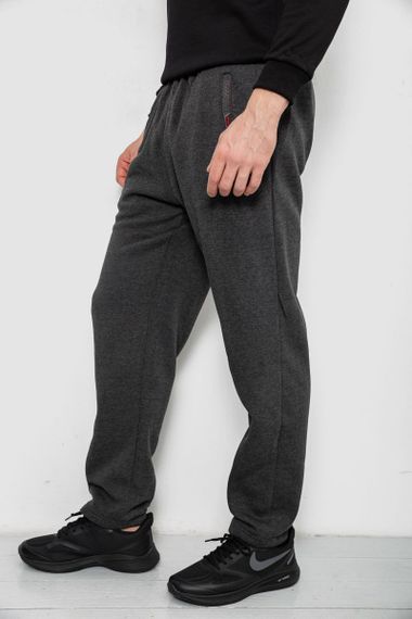 Спортивные штаны мужские на флисе, цвет серый, 244R41597 | Зображення 2