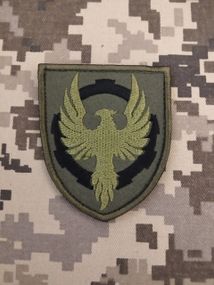 Шеврон 50 ОРВП / світло-зелений