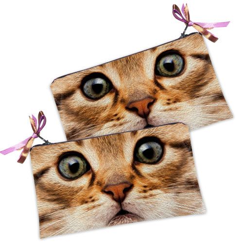 Косметичка жіноча Рыжая кошка 20х12 см (K_14S140)