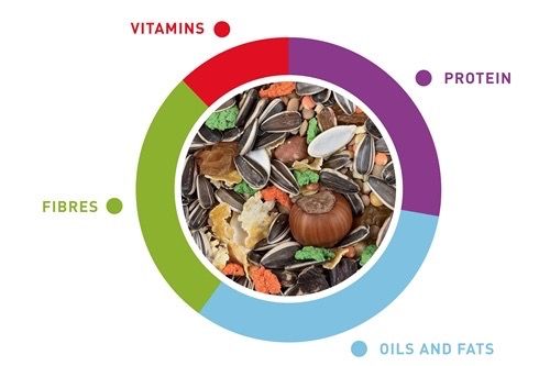Корм для белок и бурундуков Padovan GrandMix Scoiattoli, 750 гр | Зображення 1
