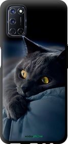 Чохол на Oppo A52 Димчастий кіт "825b-1930-2448"