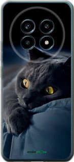 Чохол на Realme 13 PRO / 13 PRO+ Димчастий кіт "825u-3789-2448"