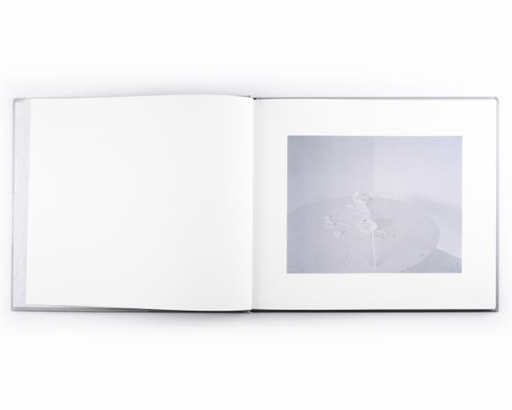 Альбомы известных фотографов книга с работами Лауры Летински Laura Letinsky "After All" книги по фотографии | Зображення 5