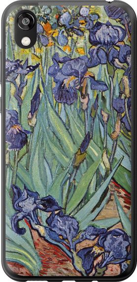 Чехол на Huawei Honor 8S Винсент Ван Гог. Ирисы "161u-1679-17620"