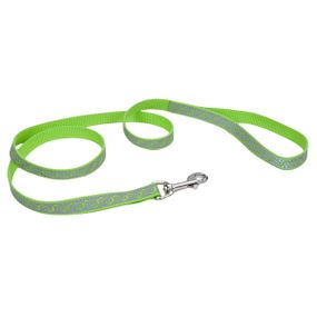 Повідець світловідбивний для собак Coastal Lazer Brite Reflective Leash, 1.2 м х 1.6 см, зелений