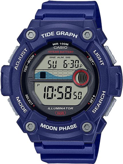 Часы CASIO WS-1300H-2AVEF
