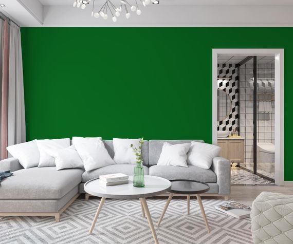 Краска Интерьерная Латексная Skyline 4050-G20Y (C) Газон 5л | Зображення 2