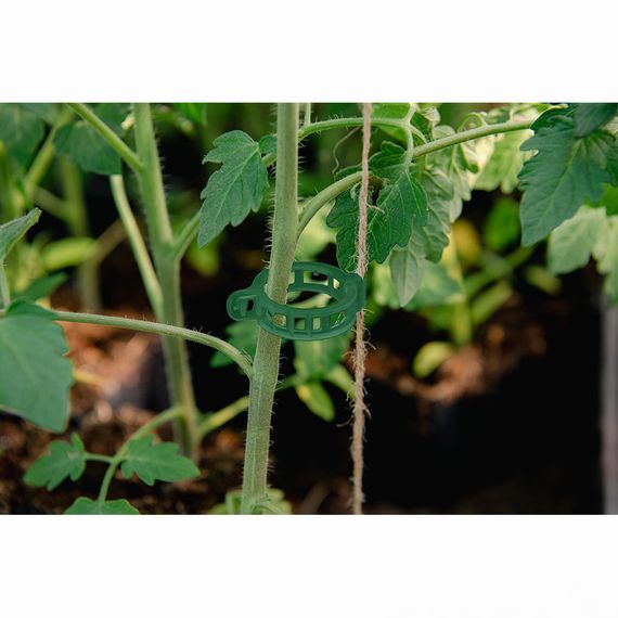 Затискачі для кріплення рослин Bradas 22 мм, 100 штук (TYK022GR/100) | Зображення 2