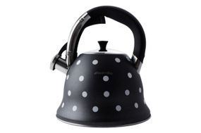 Чайник нержавеющий Kamille - 2,5 л (1099)