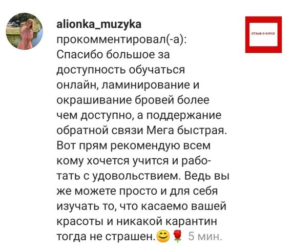 Онлайн  курс по бровям  "Ламинирование бровей" 12 уроков | Зображення 3