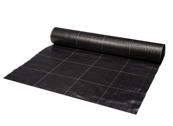 Агротканина проти бур'янів Bradas 100 г/м² сітка 25 см чорна 1х100 м (ATGDBK10010100)