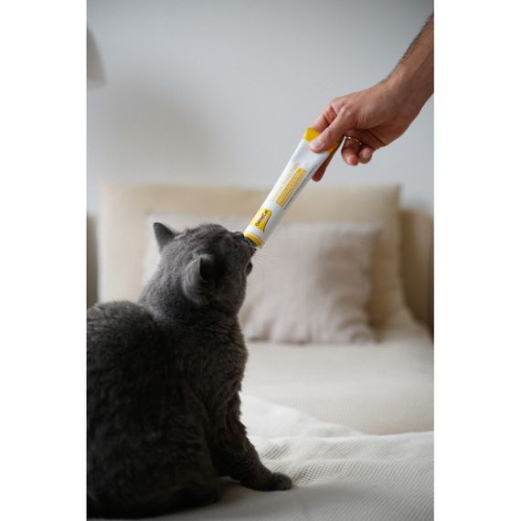 Паста GimCat Cheese Biotin Paste для котів усіх порід cирна з біотином 100г | Зображення 3