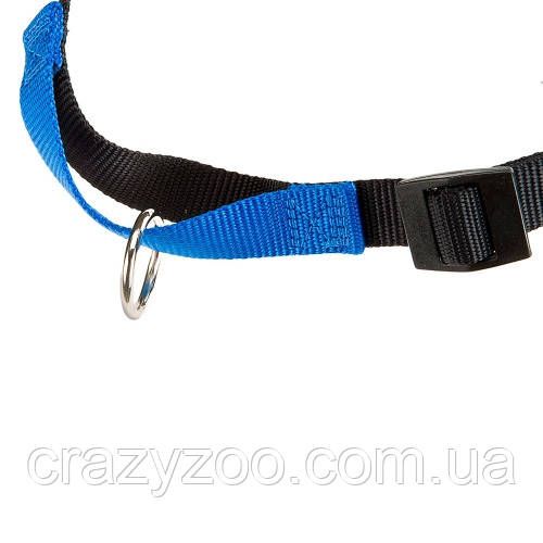 Шлея для собак Ferplast M-L Coach нейлонова синя A: 26-33 см B: 50-71 см 1.5 см 75556225 | Зображення 1